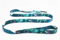 city-leash-teal-color-strong.jpg