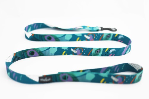 city-leash-teal-color-strong.jpg