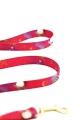 pink-city-leash-stars.jpg