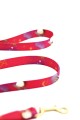pink-city-leash-stars.jpg