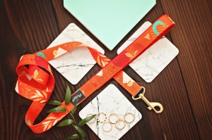 Pomarańczowa smycz regulowana dla psa - Weehee Comet Dust