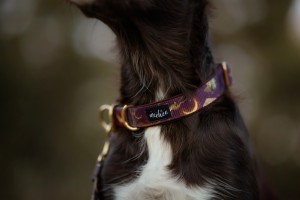 Zestaw Mystical Moth - rozmiar M 