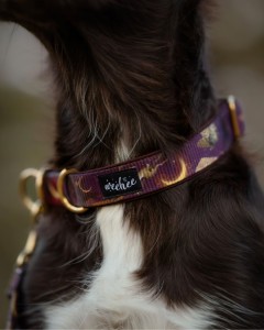 Obroża Mystical Moth - rozmiar S - mosiądz