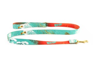 Smycz miejska - Mare Nubium