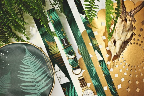 aurum fern zestaw
