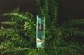 collar-fern-aurum-gold-printed-for-dog