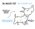 guard-harnesses-how-to-measure