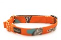 semi-buckle-collar-printed