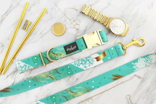 mare-nubium-zloto-u-psa