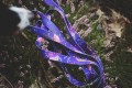 purple-venus-smycz-fiolet-weehee.jpg